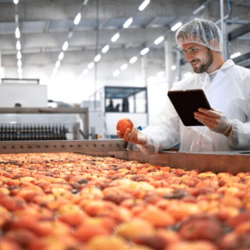 Imagem ilustrativa do curso de Auxiliar de Produção de Alimentos